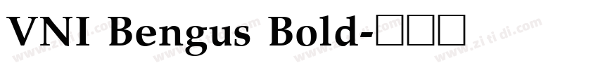 VNI Bengus Bold字体转换
